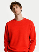 Person wearing a red jumper on a white background #color_red-orange