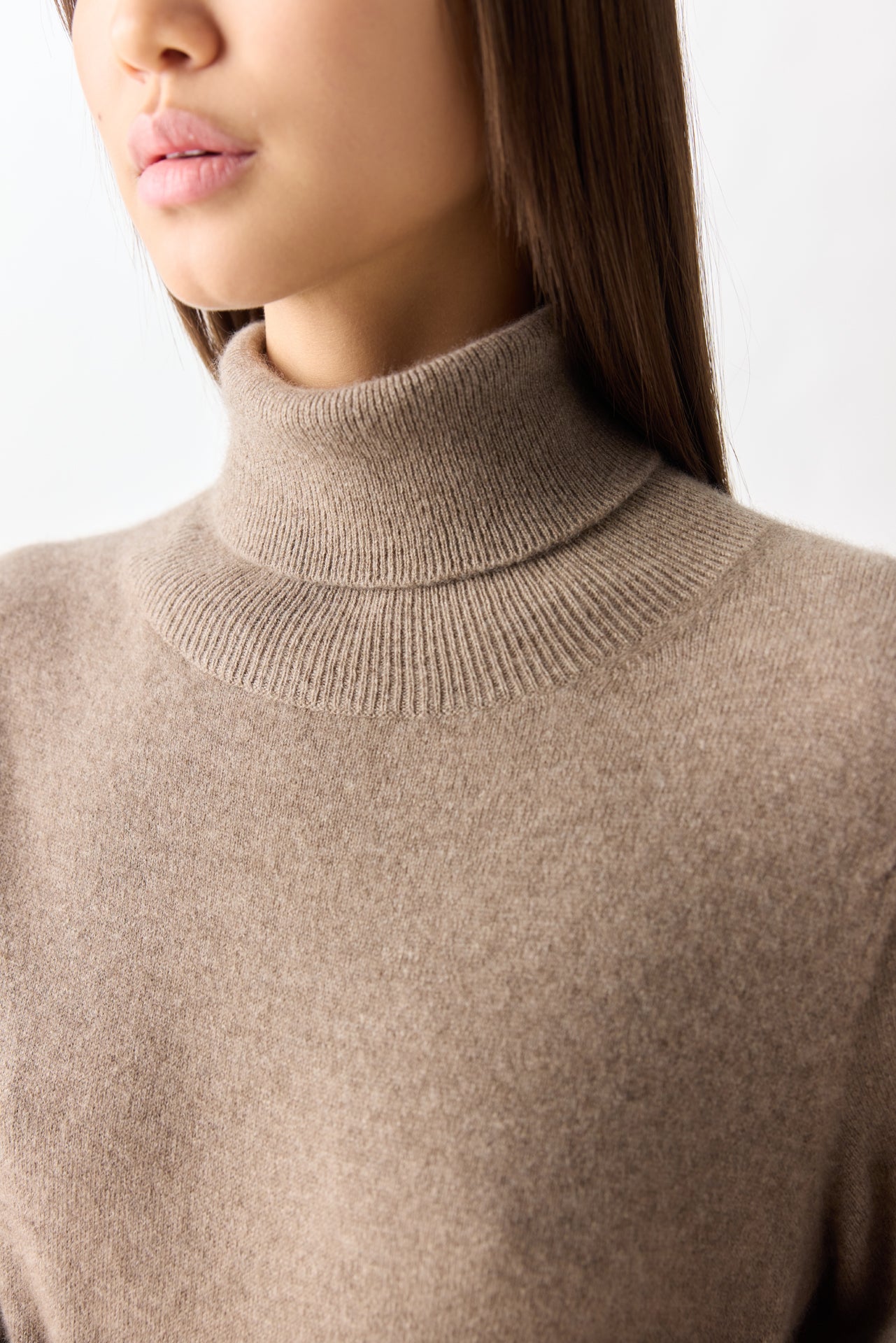 Organic Colour Cashmere Turtleneck Jumper Dress
