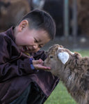 Things the Media Hasn't Told You About the Making of Cashmere