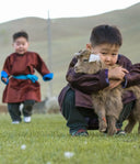 Boy in traditional deel hugging a young Mongolian cashmere goat on grassland, second child running behind