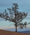 Earth Day 2023: The Importance of Investing in Our Planet