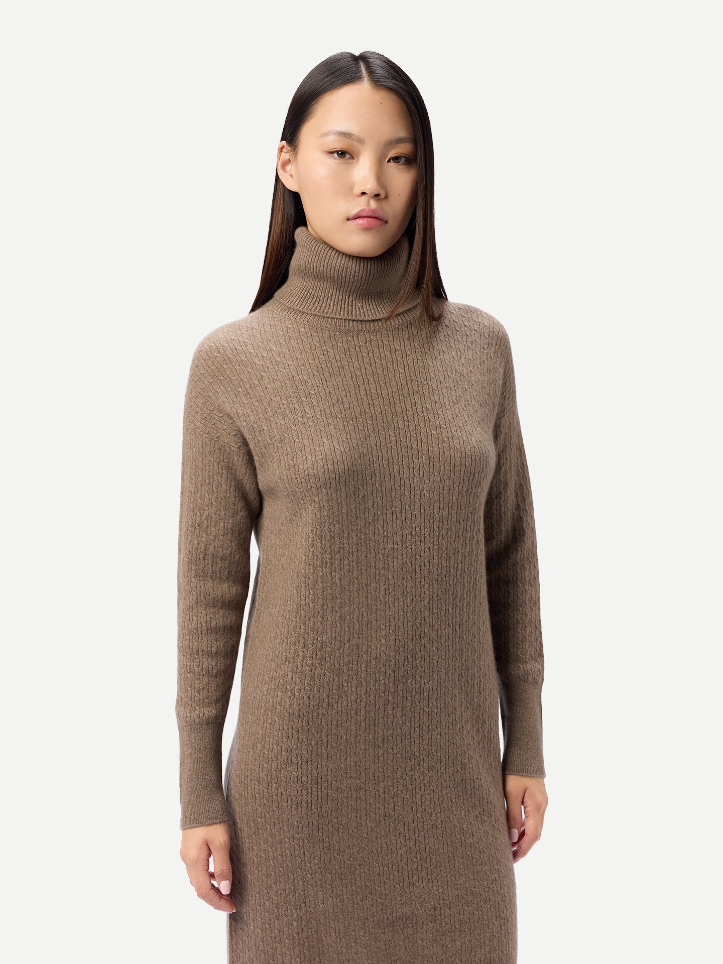 Organic Colour Seamless Turtleneck Cashmere Dress