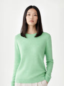 Woman wearing a light green sweater on a white background #color_green-ash