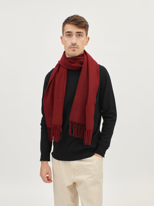 Cashmere Fringed Scarf