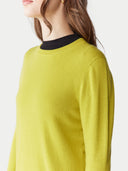 Green sweater with black collar worn by a person on a light gray background. #color_celery-green #ai-image