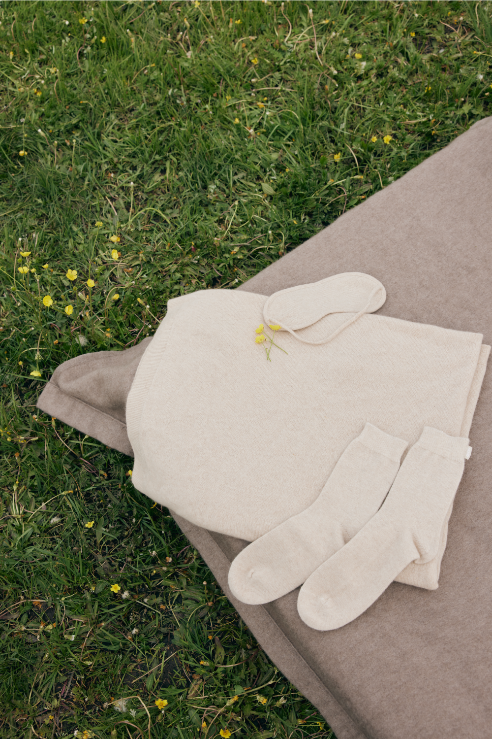 New_Project_6.png