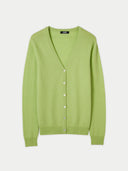 #color_jade-lime
