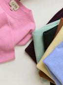 Blue cashmere long-sleeve polo shirt with a GOBI collar label and two notebooks tucked under the sleeve