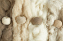 Four balls of undyed cashmere yarn — white, beige, warm grey and taupe — on raw fleece