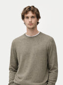 Man wearing a gray sweater against a white background #color_vetiver