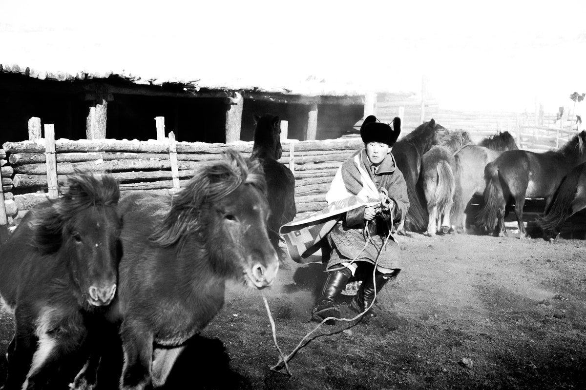 Black-and-white archive photograph of a Mongolian boy on horseback among horses at a wooden corral
