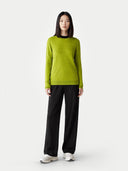 Person wearing a green sweater and black pants on a white background #color_lime-green