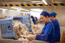 Workers in blue uniforms hand-sorting raw cashmere fibre at a GOBI processing facility