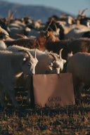 Two white cashmere goats nosing a GOBI paper bag on the steppe at golden hour