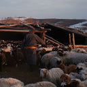 Trace product - sourced from