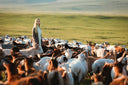 A woman in a grey cashmere coat standing among a herd of cashmere goats on the steppe
