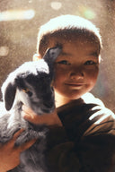 A child smiling with a grey goat kid in their arms, backlit by the sun