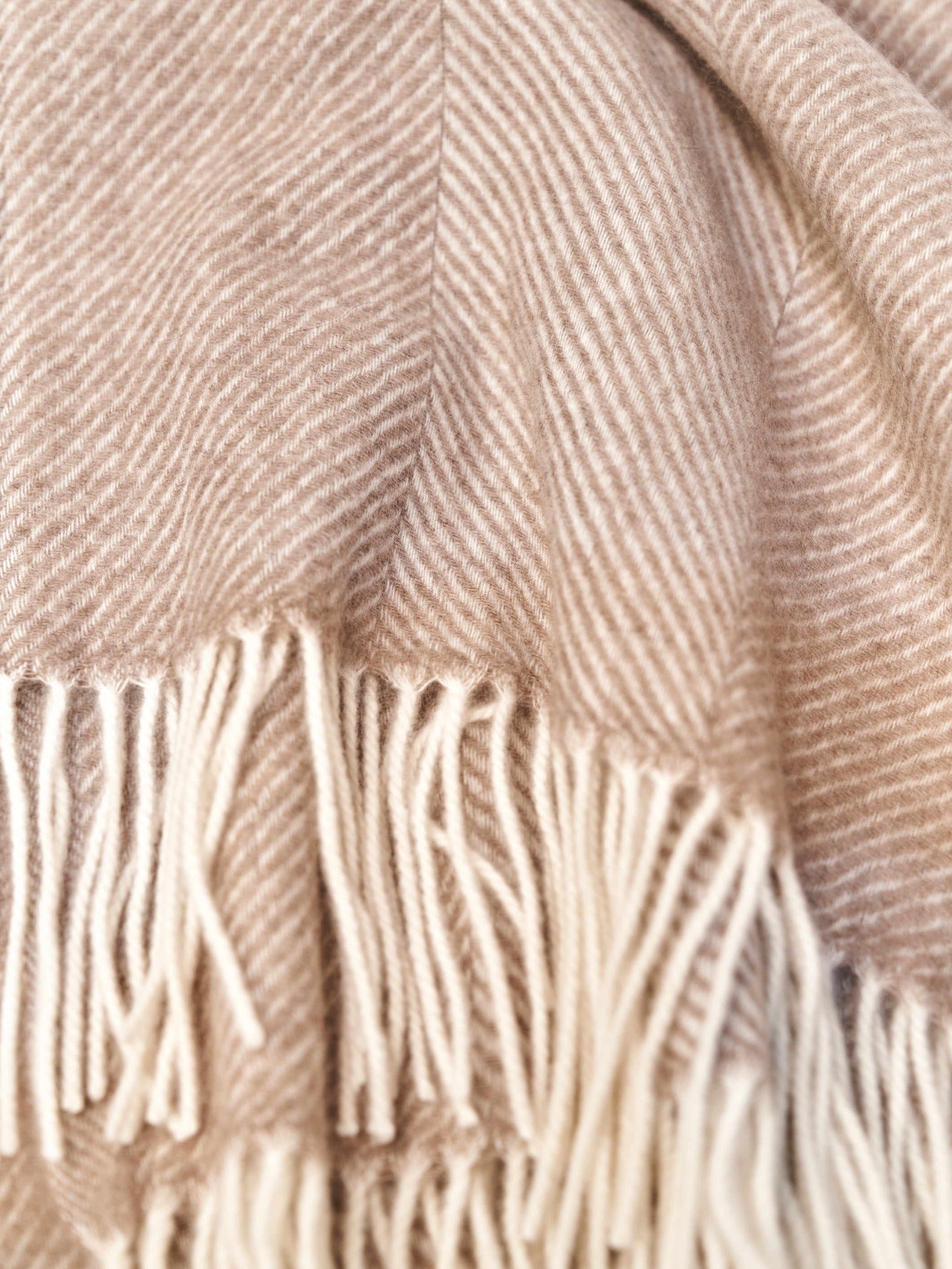 Unisex Cashmere Super Soft Throw Taupe - Gobi Cashmere