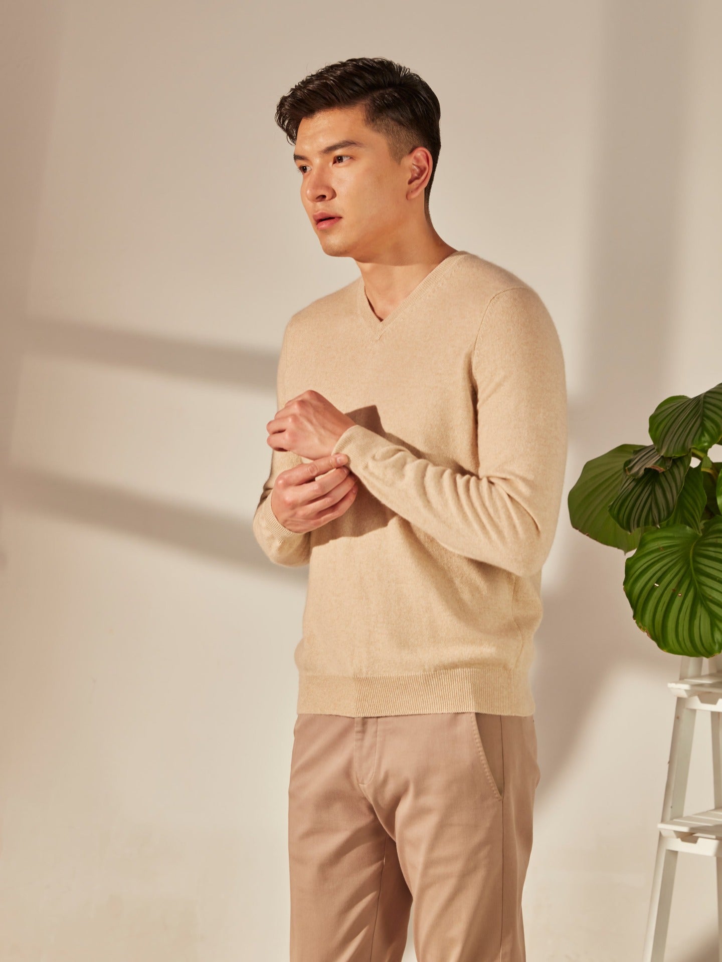 Men's Cashmere V-Neck Sweater Beige - Gobi Cashmere