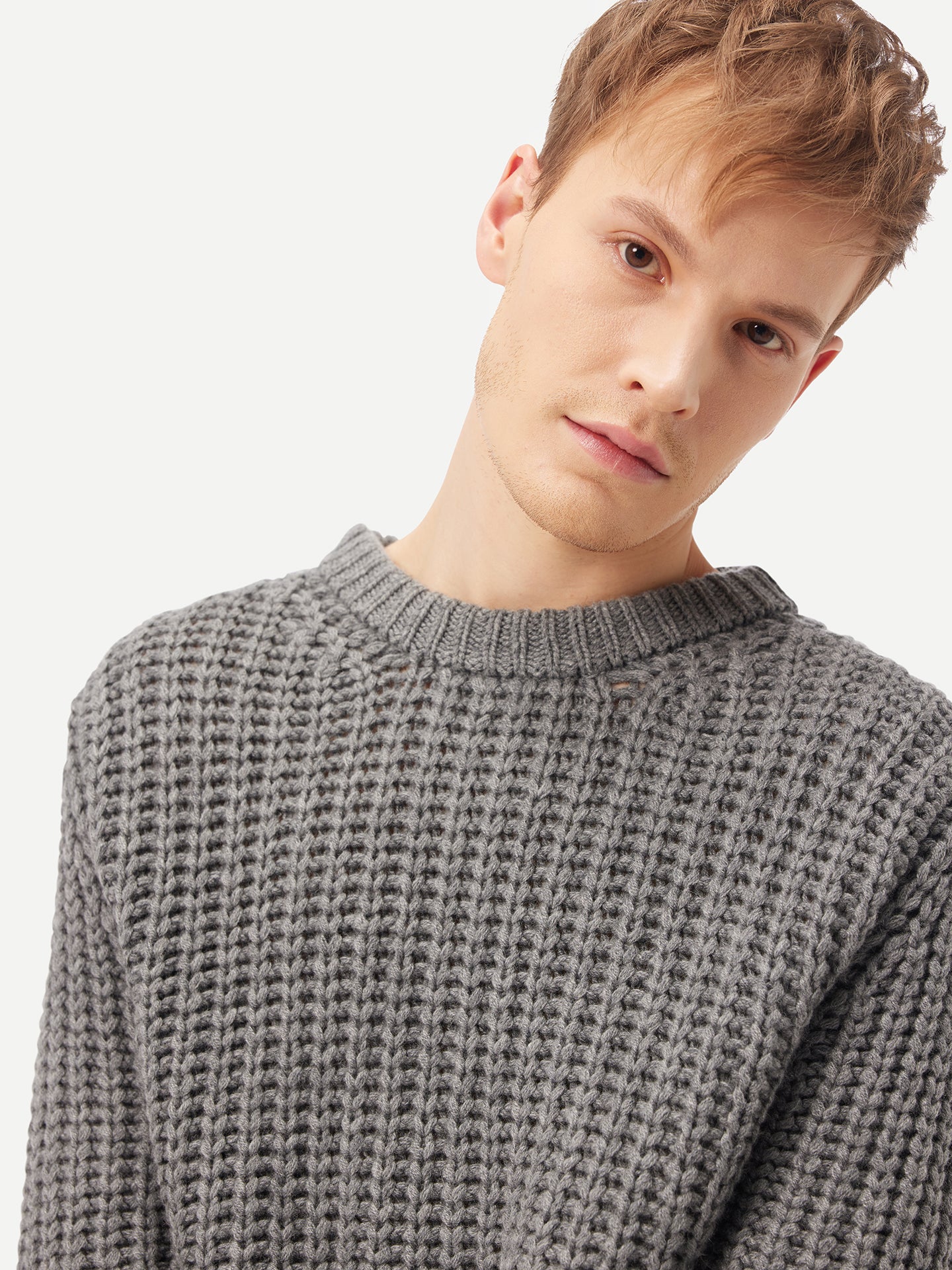 Unisex Cashmere Crewneck Sweater  Plum kitten- Gobi Cashmere